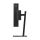 Lenovo Monitor T34WD-40 T34WD40 (64AEGAT1EU)  —  B-Ware