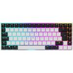Sharkoon SKILLER SGK50 S3 (weiß, PT-Layout, Gateron...