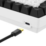 Sharkoon SKILLER SGK50 S3 (weiß, PT-Layout, Gateron Yellow)