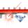 Einhell Power X-Change Akku-Heckenschere GC-CH 18/50 Li-Solo, 18Volt (rot/schwarz, ohne Akku und Ladegerät)