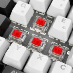Sharkoon SKILLER SGK50 S2 (weiß, DE-Layout, Gateron Red)