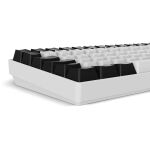 Sharkoon SKILLER SGK50 S2 (weiß, DE-Layout, Gateron Brown)
