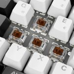 Sharkoon SKILLER SGK50 S2 (weiß, DE-Layout, Gateron Brown)