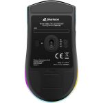 Sharkoon SKILLER SGM25W Ocean   (türkis/blau)