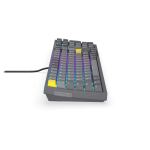 Endorfy Celeris 1800 (grau, US-Layout, ENDORFY Yellow by Gateron)