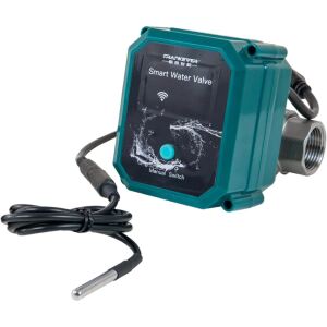 Shelly FrankEver smartes Wasserventil DN25, 1" (grün)