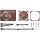 Noctua NF-A12x25 G2 PWM (braun/beige, PWM-Anschluss, 120 mm)