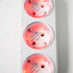 Shelly Steckdosenleiste Power Strip 4 Gen4 (weiß, 1,5 Meter Kabel, mit Energiemessung)