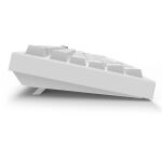 Sharkoon SKILLER SGK55W (weiß, DE-Layout, Sharkoon Linear)