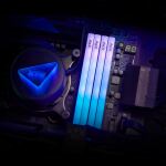 A-Data DIMM 64 GB DDR5-6000 (2x 32 GB) Dual-Kit (schwarz, AX5U6000C2832G-DTLABRBK, XPG Lancer Blade RGB, INTEL XMP, AMD EXPO)