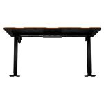 Endorfy Atlas L Electric (nussbaum/schwarz)