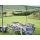 Coleman FastPitch OnePush Shelter L (türkis/grau)
