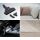 Medion Life P2000 (MD 11905) (schwarz/blau)