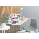Peach Cross Cut Shredder PS300-21
