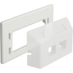 Delock Keystone Adapterplatte, Befestigung/Montage (weiß)
