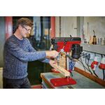 Einhell Säulenbohrmaschine TC-BD 500 (rot/schwarz, 450 Watt)
