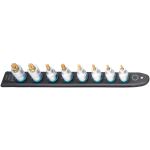 HAZET SmartRail 1/2" Steckschlüsseleinsatz-Satz Sechsrund, 8-teilig (schwarz, T20 - T60, kurz)