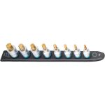 HAZET SmartRail 1/2" Steckschlüsseleinsatz-Satz Innensechskant, 8-teilig (schwarz, 6mm - 17mm, kurz)