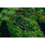 Happybrush ECO VIBE 3 Aufsteckbürsten (schwarz)