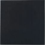 Thermal Grizzly Minus Pad Advance - 100x100x0,5 mm (2er Pack)
