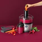 Nutribullet Entsafter Pro NBJ200G (silber/grau, 1.000 Watt)