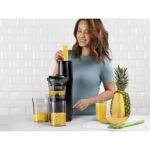 Nutribullet Slow Juicer NBJ500 (grau/schwarz, 150 Watt)