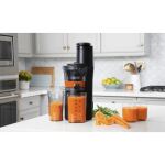 Nutribullet Slow Juicer NBJ500 (grau/schwarz, 150 Watt)