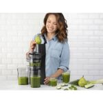 Nutribullet Slow Juicer NBJ500 (grau/schwarz, 150 Watt)