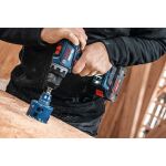 Bosch Power Tools Expert Akku EXBA18V-40, 2 Stück (schwarz, AMPShare Alliance)