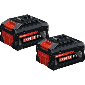 Bosch Power Tools Expert Akku EXBA18V-80, 2 Stück (schwarz, AMPShare Alliance)