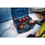 Bosch Power Tools Expert Akku EXBA18V-80, 2 Stück (schwarz, AMPShare Alliance)