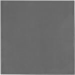 Thermal Grizzly Minus Pad extreme 2 - 100x 100x 0,5mm (grau)