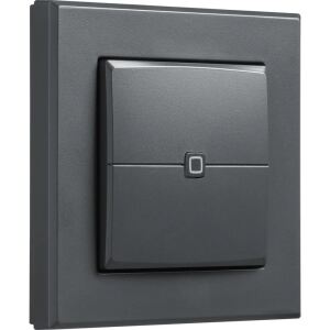 Homematic IP Wandtaster ? 2-fach (HmIP-WRC2-A-2) (anthrazit)