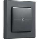Homematic IP Wandtaster ? 2-fach (HmIP-WRC2-A-2) (anthrazit)
