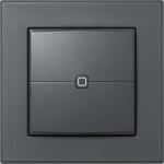 Homematic IP Wandtaster ? 2-fach (HmIP-WRC2-A-2) (anthrazit)