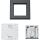 Homematic IP Wandtaster ? 2-fach (HmIP-WRC2-A-2) (anthrazit)