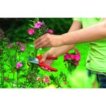 WOLF Garten Gartenschere Basic Plus RR 1500 (rot/gelb, 2-schneidig)
