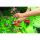 WOLF Garten Gartenschere Basic Plus RR 1500 (rot/gelb, 2-schneidig)