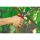 WOLF Garten Amboss-Gartenschere Premium Plus RS 4000 (rot/grau)