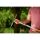WOLF Garten Rechen DR-M 30 (rot/gelb, 30cm)