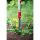 WOLF Garten Distelstecher IW-M, multi-star (rot/silber, 4cm)