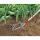 WOLF Garten Gartenfräse DA-S, multi-star (rot/gelb, 15cm)