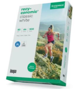Inapa Recyconomic Classic white A4 (DIN A4 (500 Blatt), 80 g/m²)