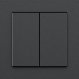 Senic Works with Hue Smart Switch (schwarz (matt))