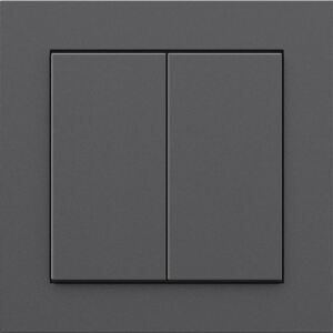 Senic Works with Hue Smart Switch (anthrazit)