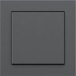 Senic Works with Hue Smart Switch (anthrazit)
