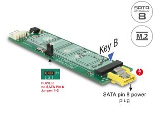 DELOCK Konverter SATA 8Pin Power Bu > M.2 KeyB Slot