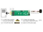 DELOCK Konverter SATA 8Pin Power Bu > M.2 KeyB Slot