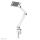 Neomounts DS15-545WH1 Tablet-Halter Tischklemme 4.7-12.9" - universal - volle Bewegung