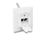 DELOCK Keystone Anschlussdose 2-Port kompakt